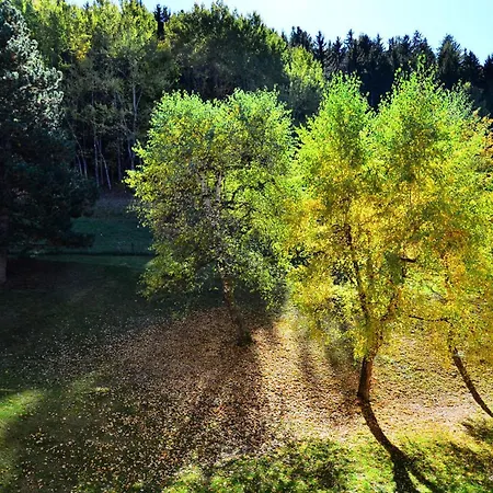 Renove 4-5 Pers. Montchavin, Proche Pistes Et Commerces, Parking Gratuit Appartement *